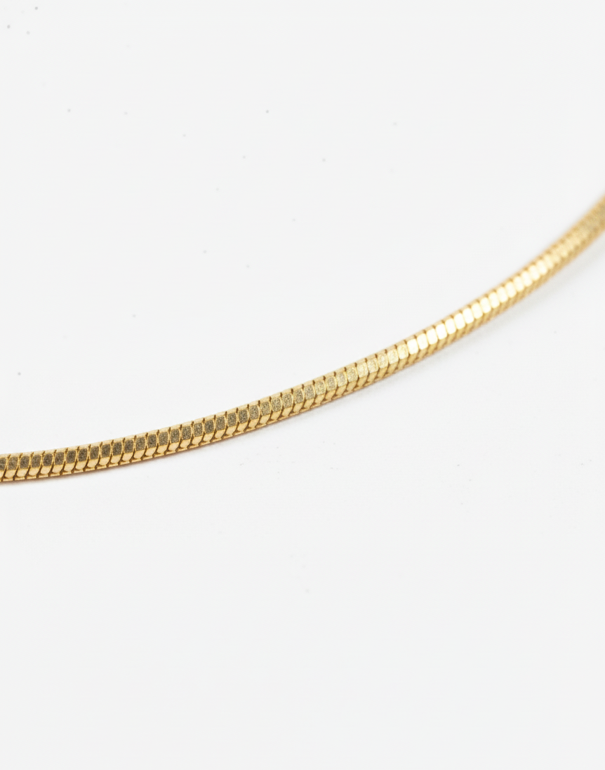 Close-up of a gold snake chain necklace on a white background